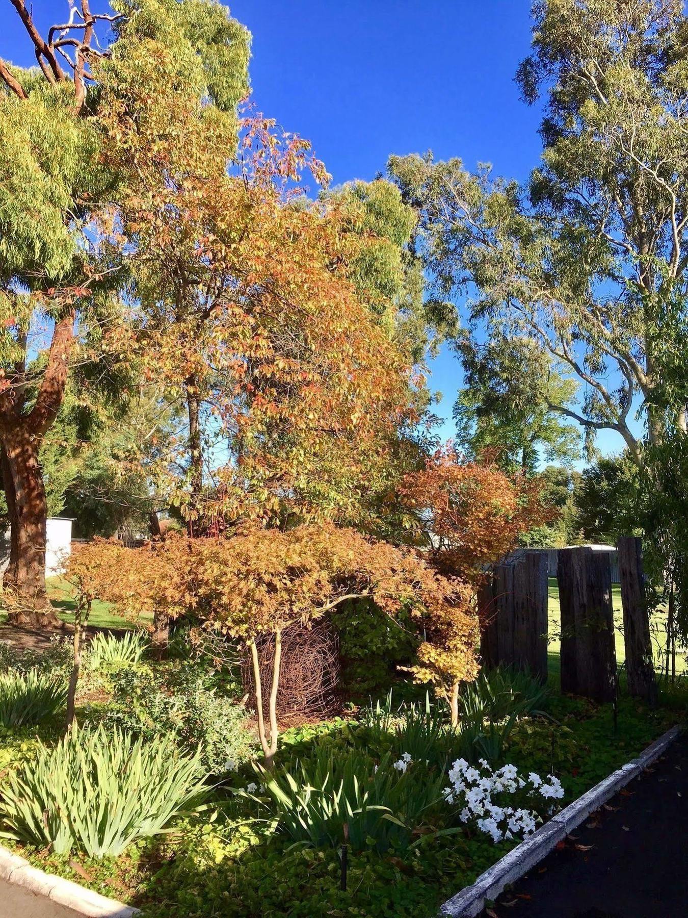 Manjimup Kingsley Motel מראה חיצוני תמונה