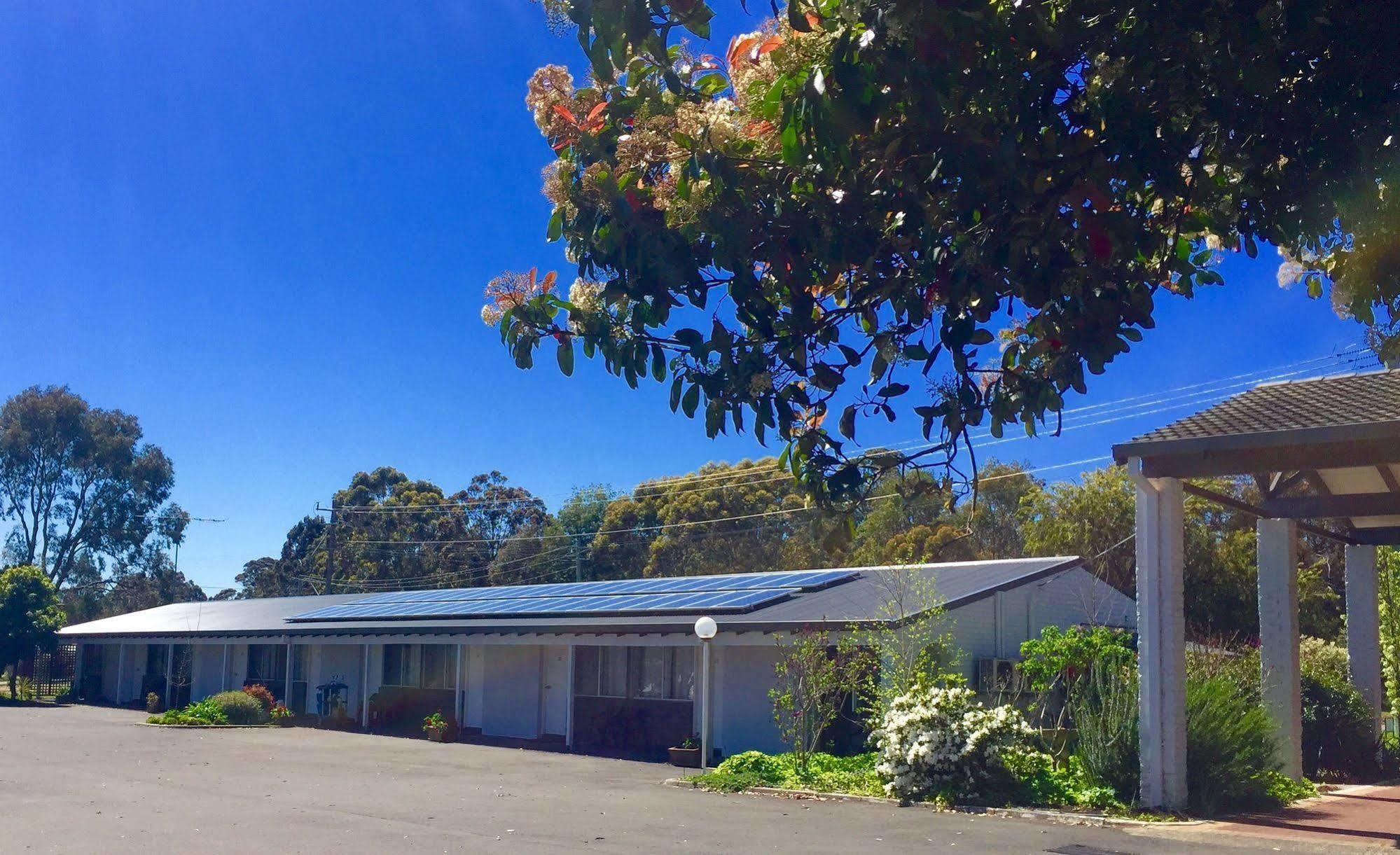 Manjimup Kingsley Motel מראה חיצוני תמונה